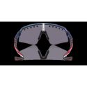 Gafas Oakley Sutro Lite Sweep Prizm Troy Lee Designs