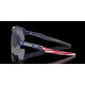 Gafas Oakley Sutro Lite Sweep Prizm Troy Lee Designs