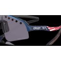 Gafas Oakley Sutro Lite Sweep Prizm Troy Lee Designs