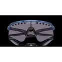 Gafas Oakley Sutro Lite Sweep Prizm Troy Lee Designs