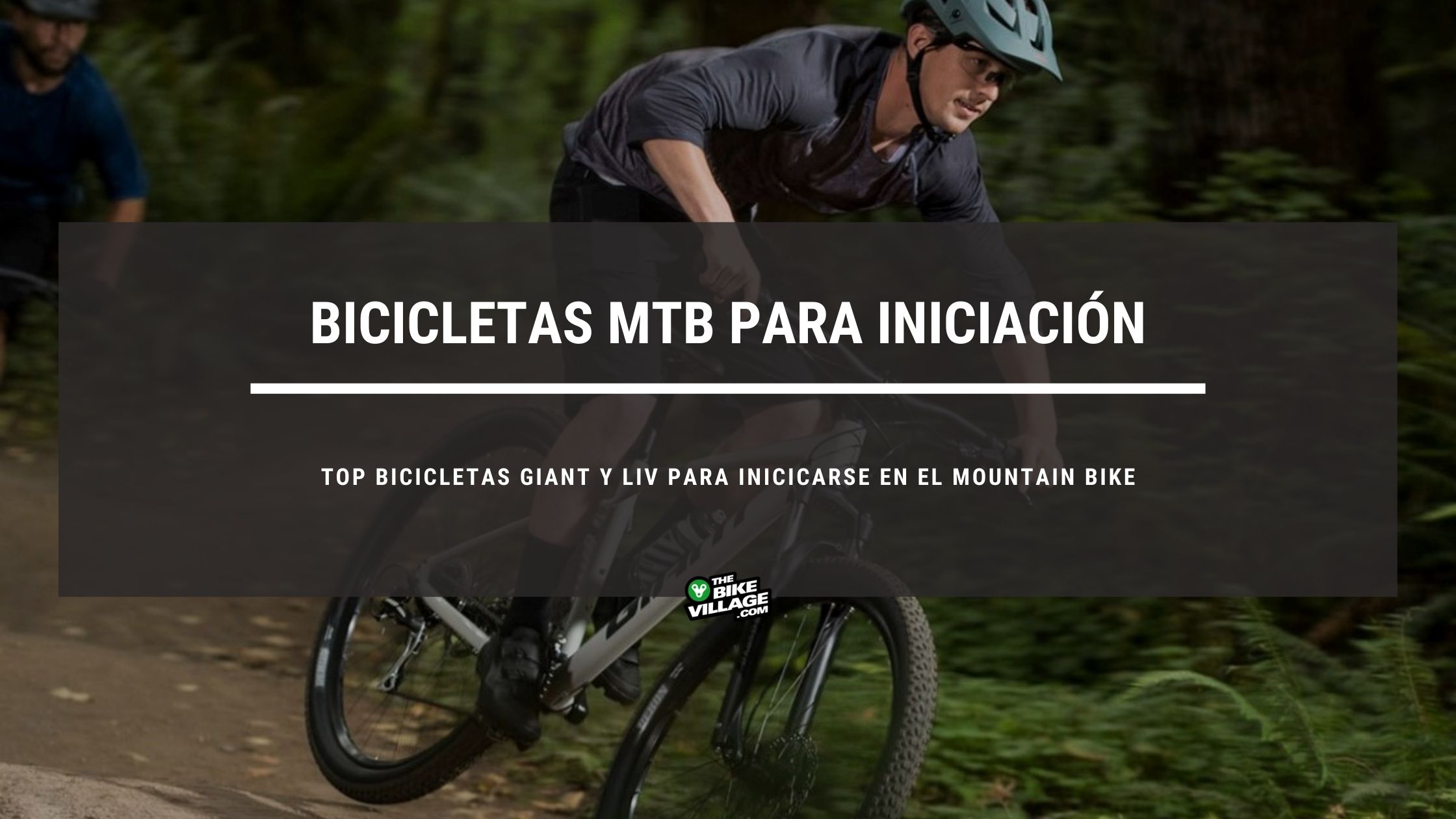 Comprar Desmontables Bicicleta de Montaña MTB Enduro, Descenso